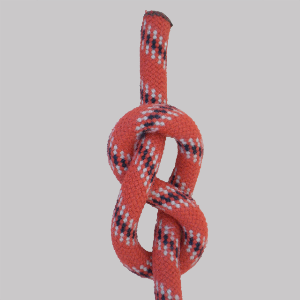 4d46 profile picture