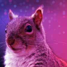 swagart644 profile picture