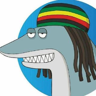 Ali profile picture