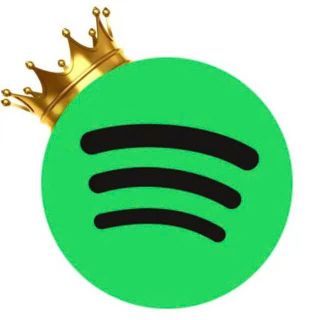 Spotify Premium APK 2025 profile picture