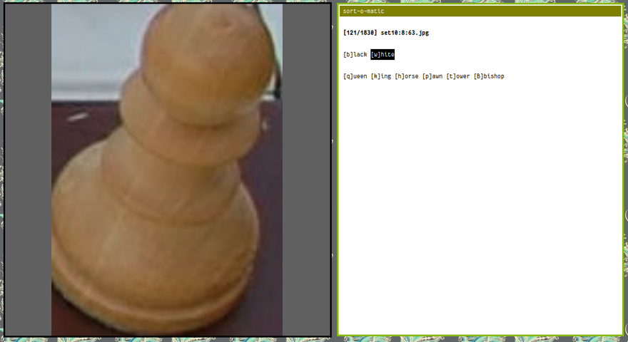 An image viewer displaying a cropped image of a chess piece, a white pawn. Next to it is a terminal, showing a custom UI that highlights available keybinds for piece colour and kind.