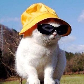 ali atwa profile picture