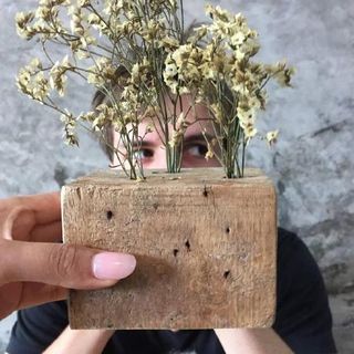 Lewis Daly profile picture