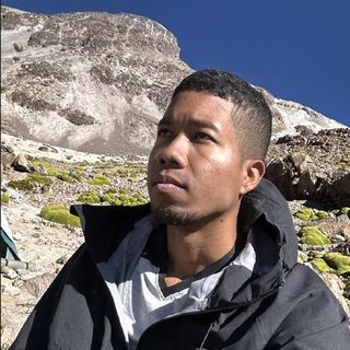 Luis Papiernik profile picture