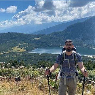 Tomer profile picture