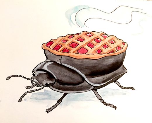 Cover image for Try some Beetle Pi: Up and running with TigerBeetle on a Raspberry PI 4