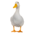 dandeduck profile image