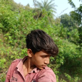 vb1462016-max profile picture